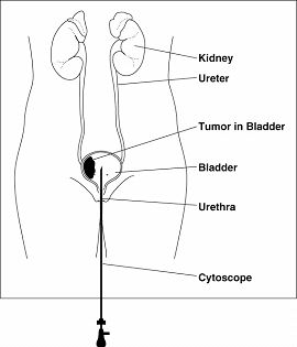 5312 Figure 2