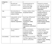 Faces Legs Activity Cry Consolability Revised Scale FLACC R 