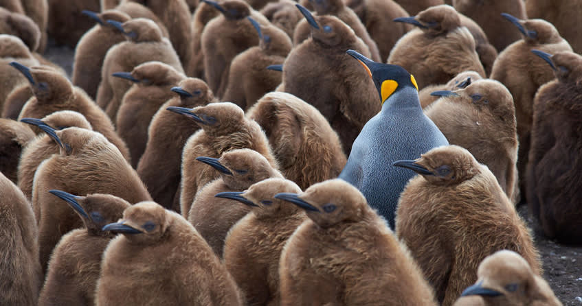 The One Thing Most Recruiters Overlook