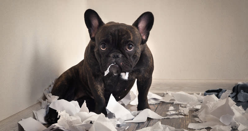 9 excuses bosses use to keep people from working remotely