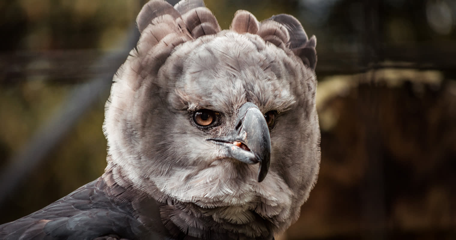 The one trait every great product manager needs
