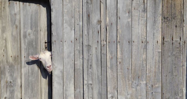How Product Managers Defeat Feature Creep
