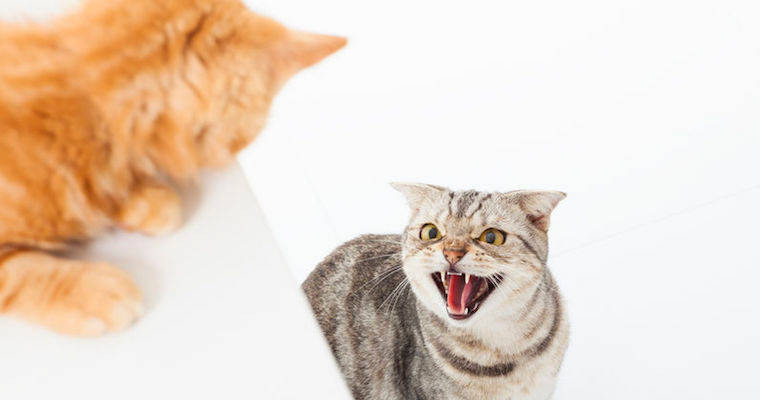 Hey Customer: Stop Treating Me Like a Jerk
