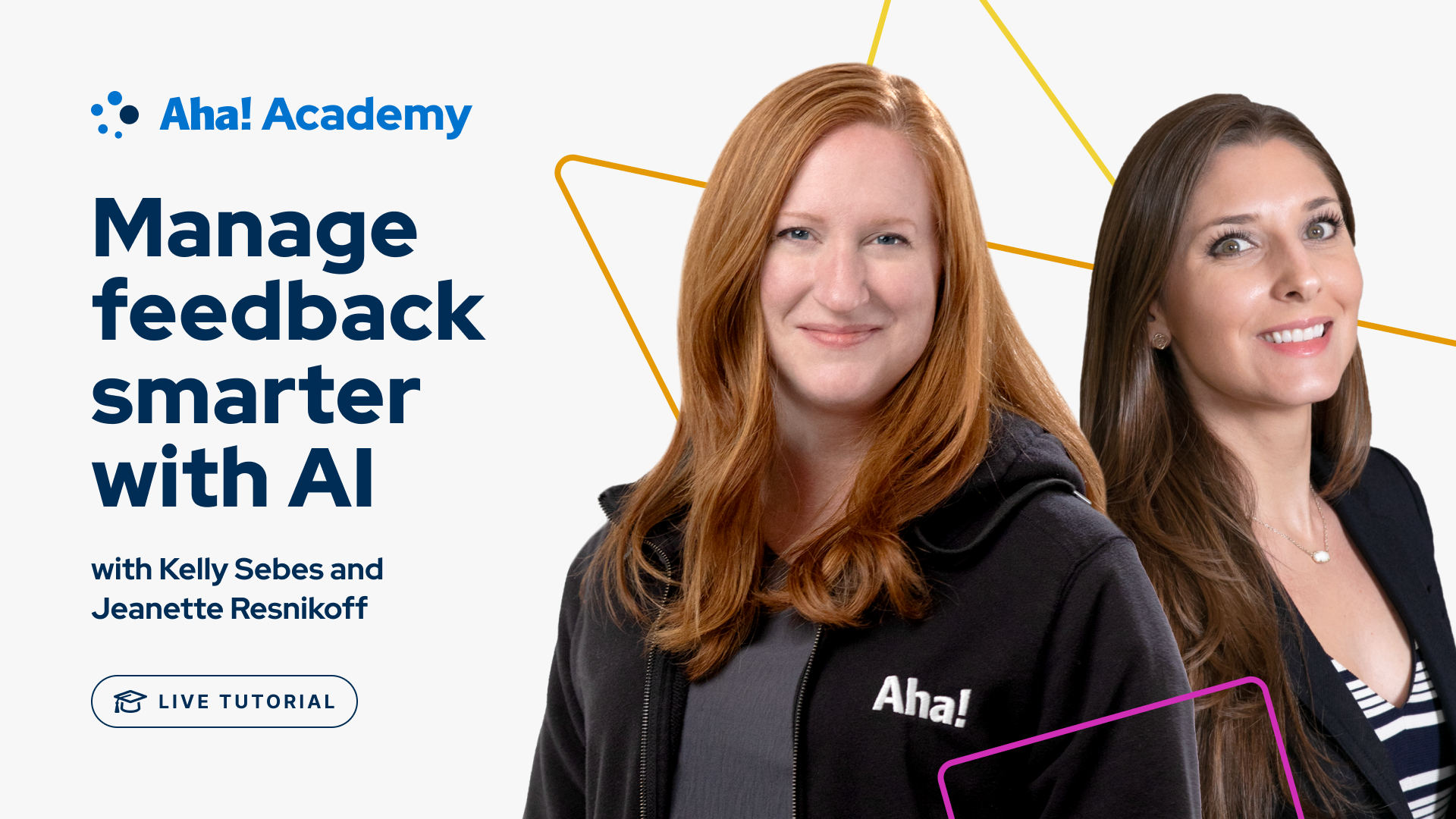 Aha! Ideas | Manage feedback smarter with AI