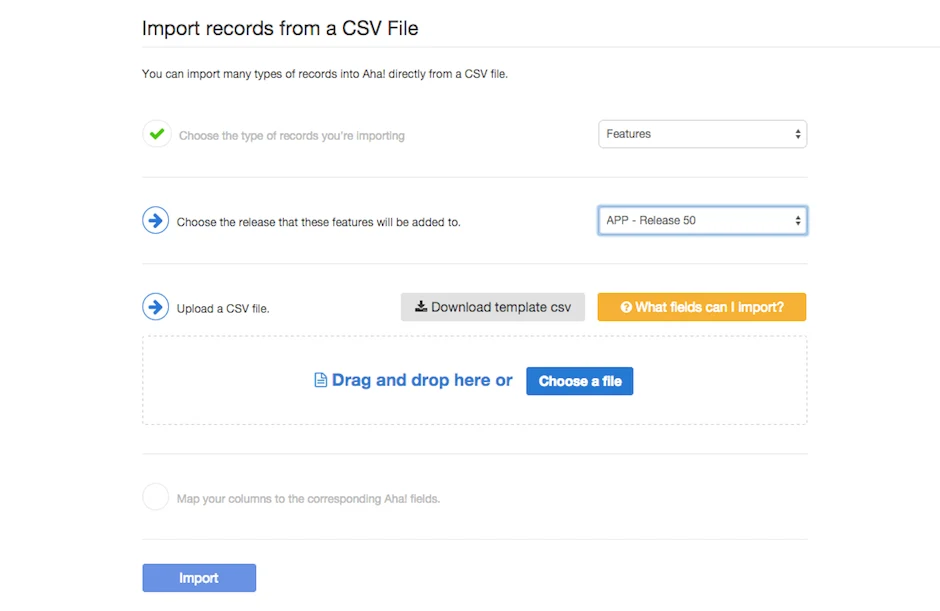 Blog - Get Your Product Roadmap Out of Excel and Into Aha! - inline image
