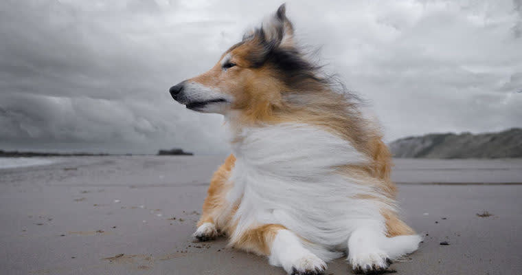 Hey Marketing: Watch Out, Here Comes the Sales Storm