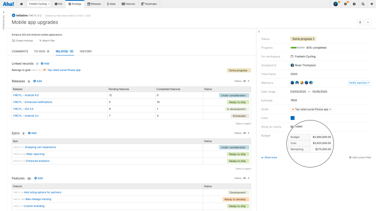 Initiative detail view with highlight on a custom worksheet field showing budget, cost, and ROI.