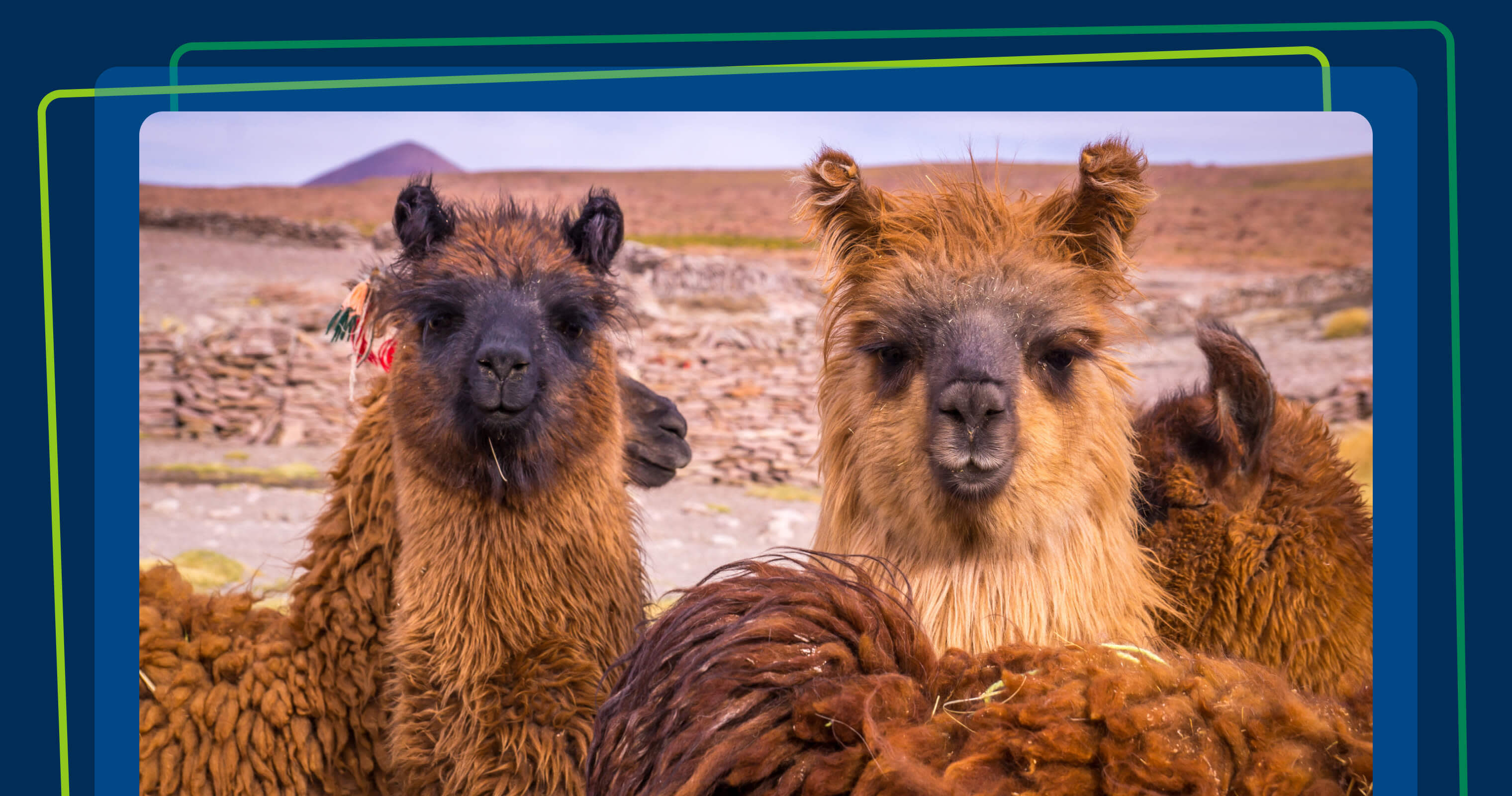 12 essential articles on roadmapping