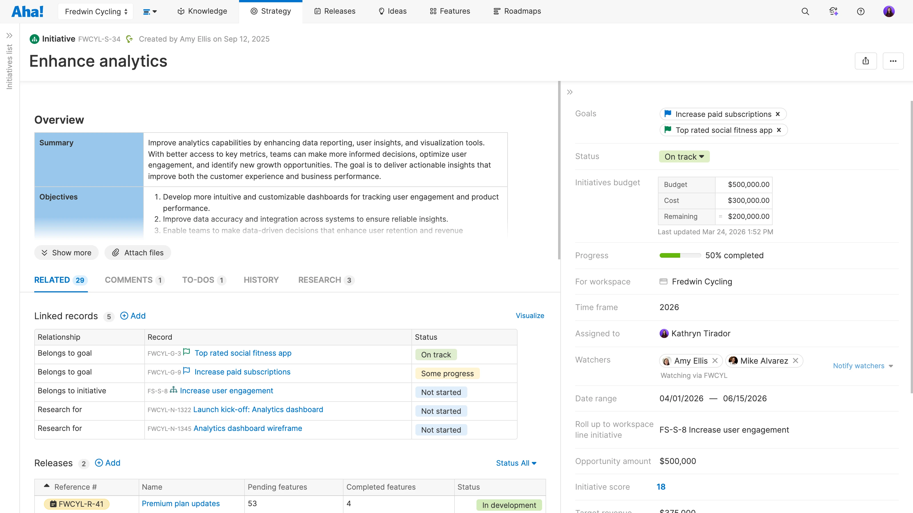Initiative details with custom worksheet