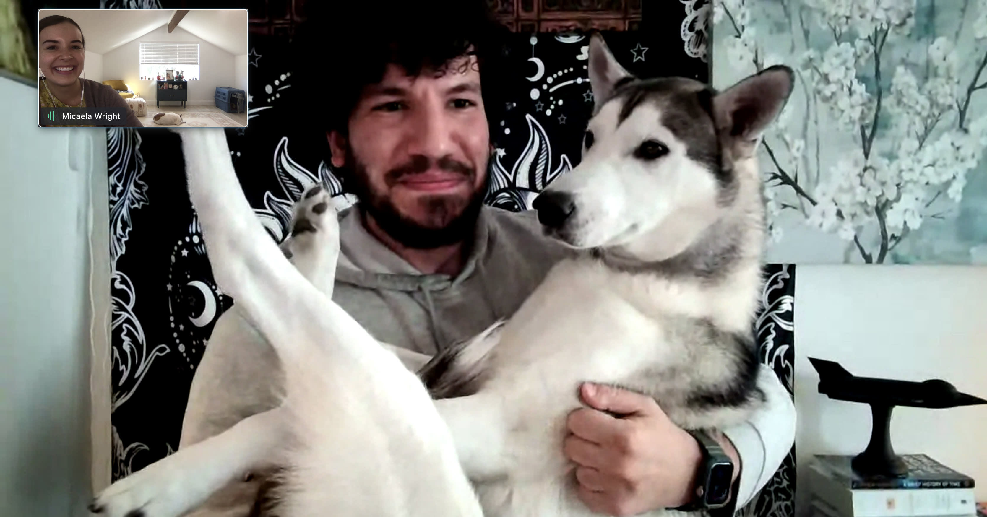 The Pets of Aha! — Meet 19 More of Our Team's Furry Coworkers