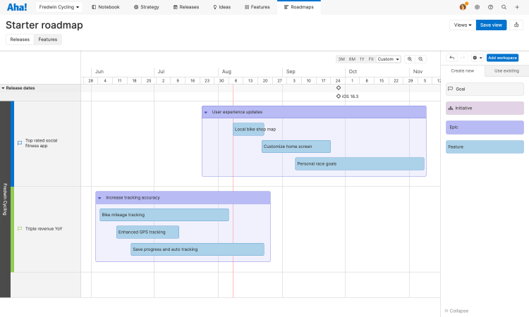 An example of a starter roadmap in Aha!