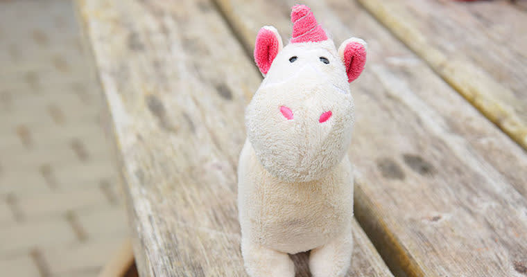 There Is a New Animal in Silicon Valley
