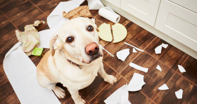 Sorry, Boss — But Your Apology Stinks