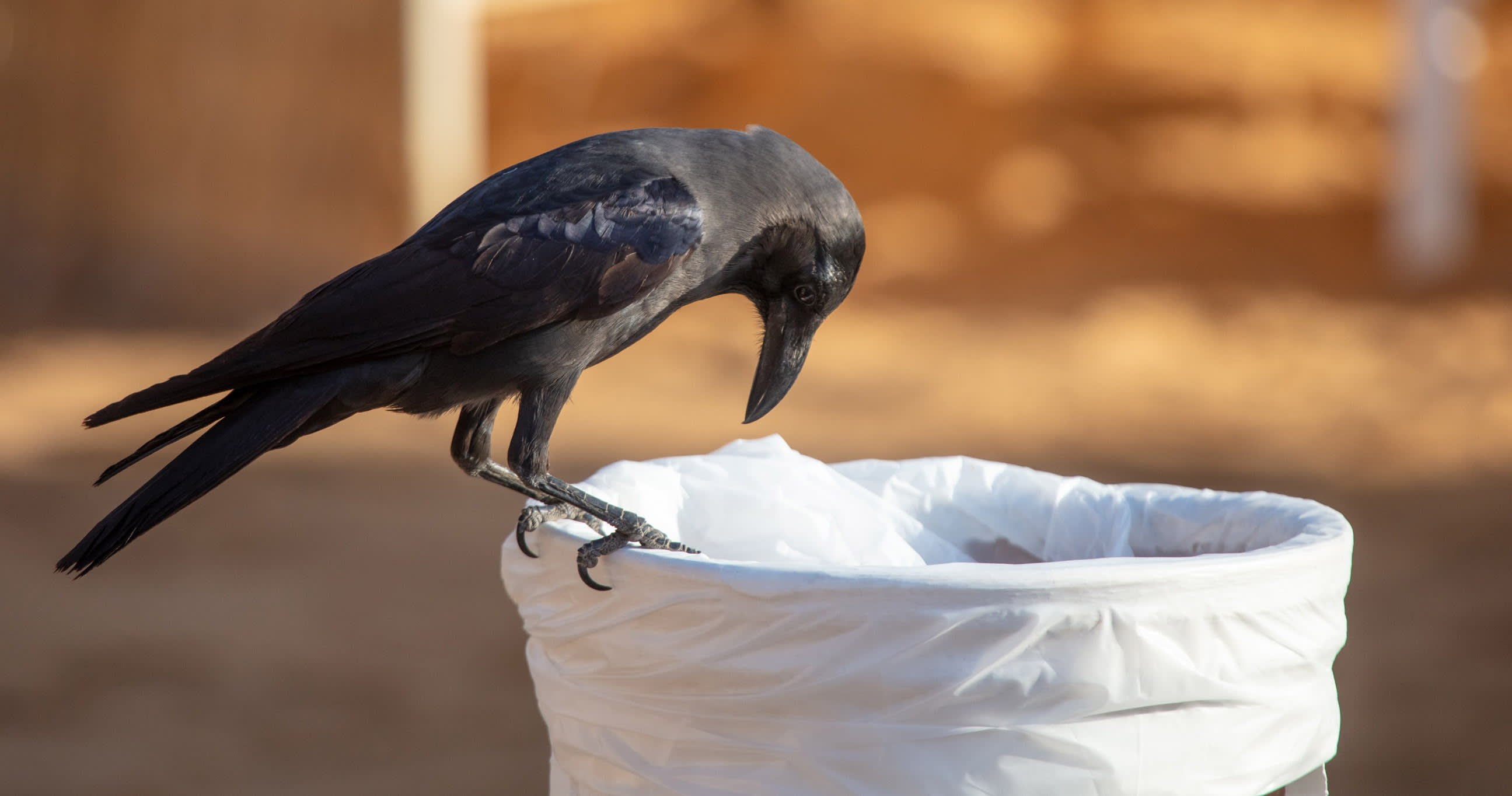 8 signs you are creating software waste