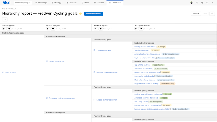 Hierarchy report showing goals, initiatives, and features.