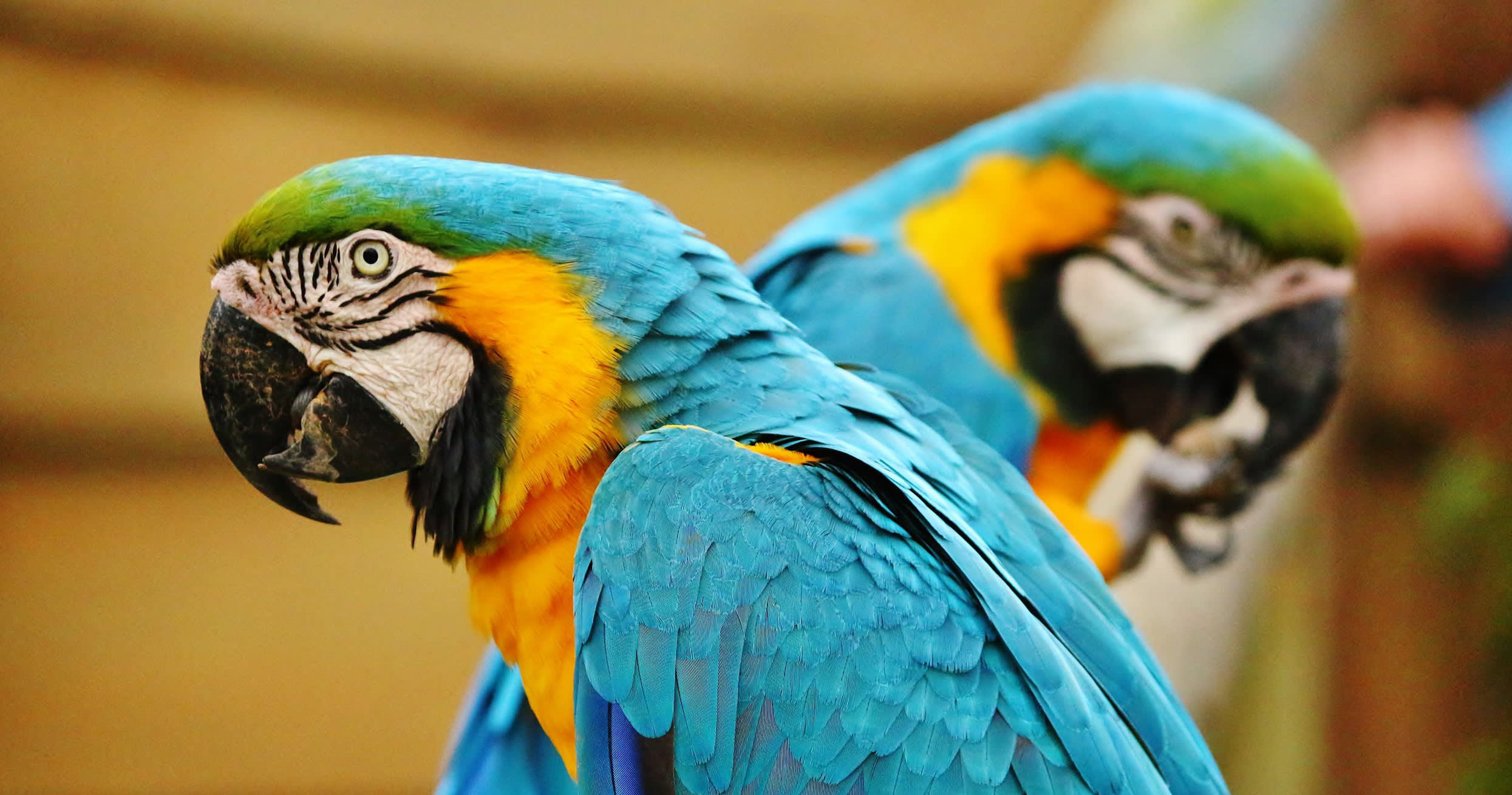 B2B Product Managers vs. B2C Product Managers