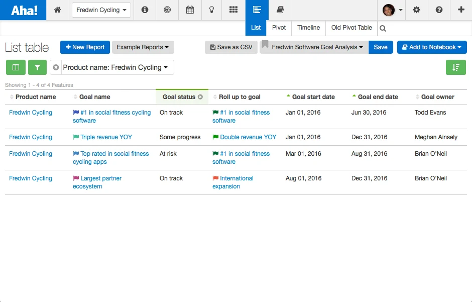 Blog - Just Launched! — Set Your Business Strategy and Link it to Your Roadmap - inline image