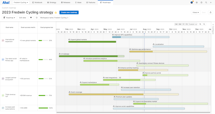 Custom roadmap showing initiative progress in context of goals.