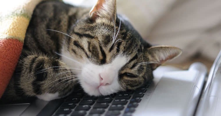 Why Is Sam Sleeping at His Desk?