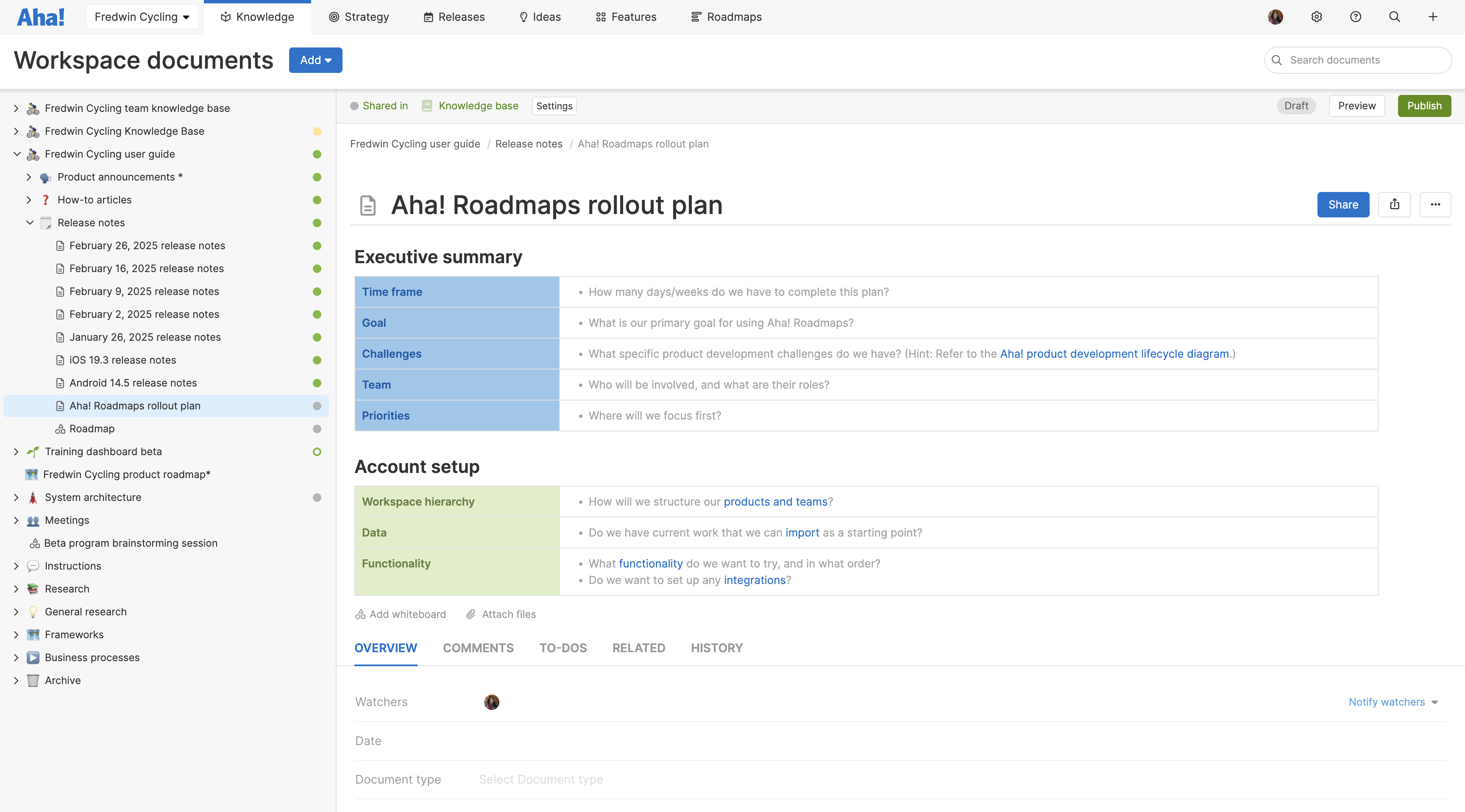 Aha! Roadmaps rollout plan large