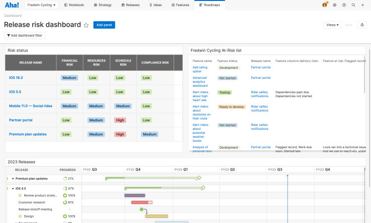 Dashboard for tracking risks in Aha! Roadmaps