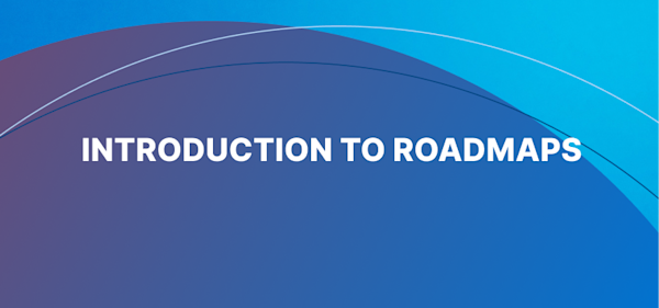 An introduction to roadmaps