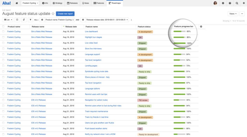 Blog - Just Launched! — Show the Percent of Work Completed on Roadmaps and Reports - inline image