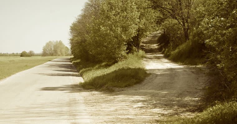 The Founder’s Paradox: How to Stay Focused When Other Opportunities Keep Tempting You