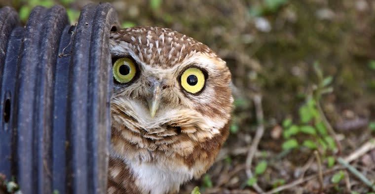 No One Has a Vision for Your Product — Now What?