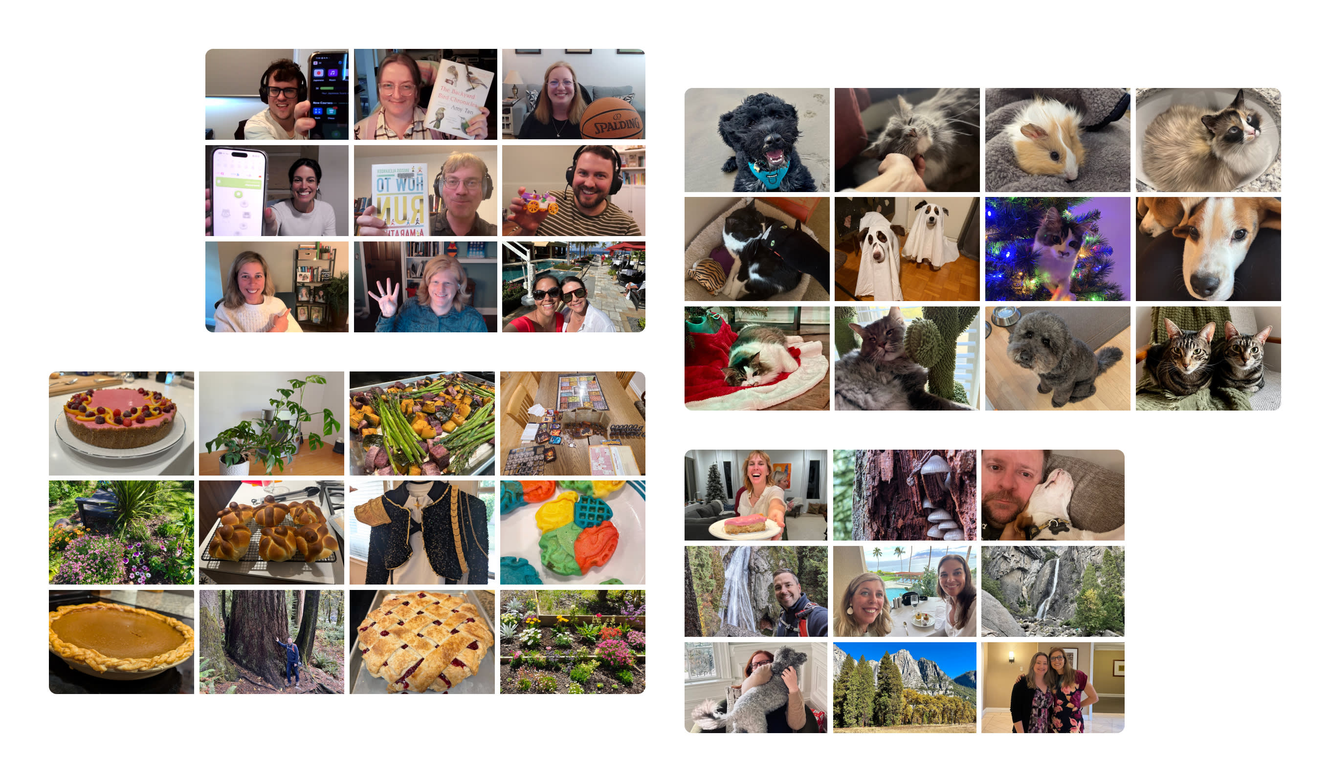 Pictures showing the different ways our teammates connect: through video calls, food, pets, and more
