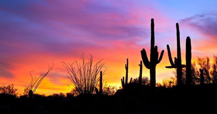 Oh No! The Executive Team Wants to Sunset Your Product