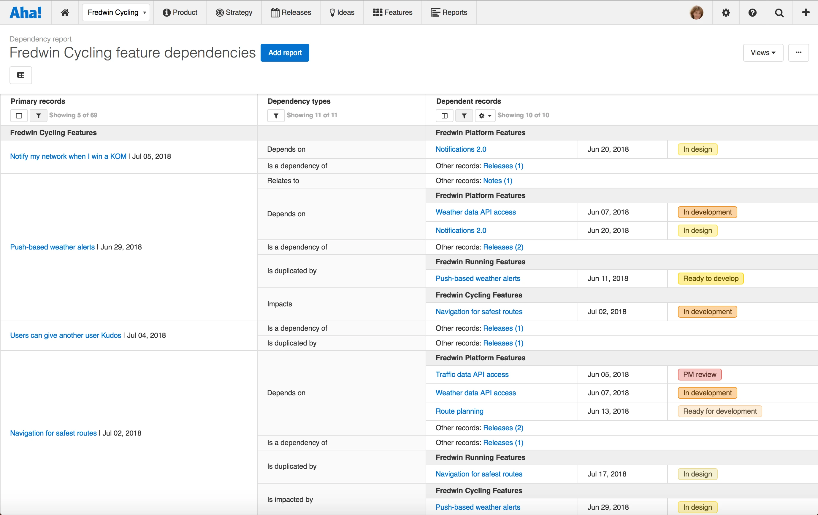 Filtered hierarchy report in Aha! software