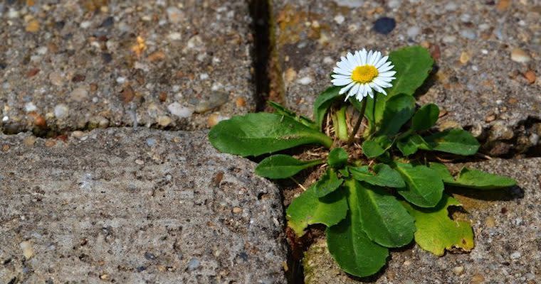 How to Stay Motivated at Work When No One Else Cares