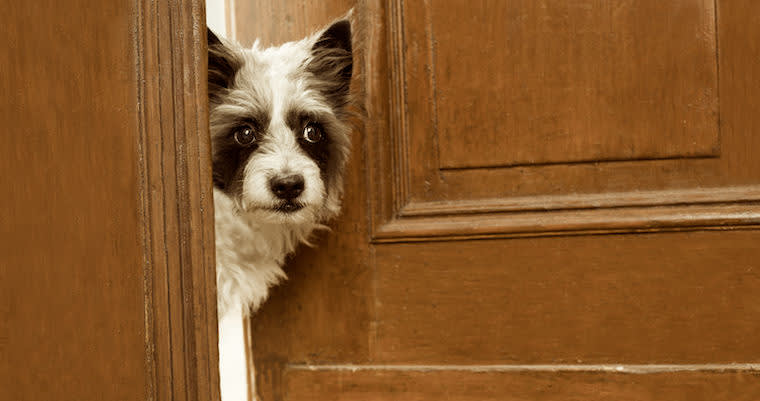 The Founder’s Paradox: How Do You Respond Instantly When You Are Super Busy?