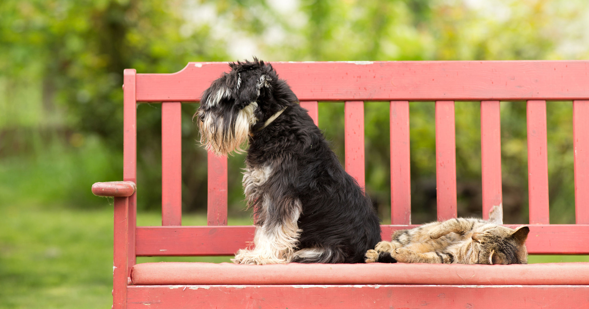 Connect Aha! Software With Your AI-Powered Coding Tools