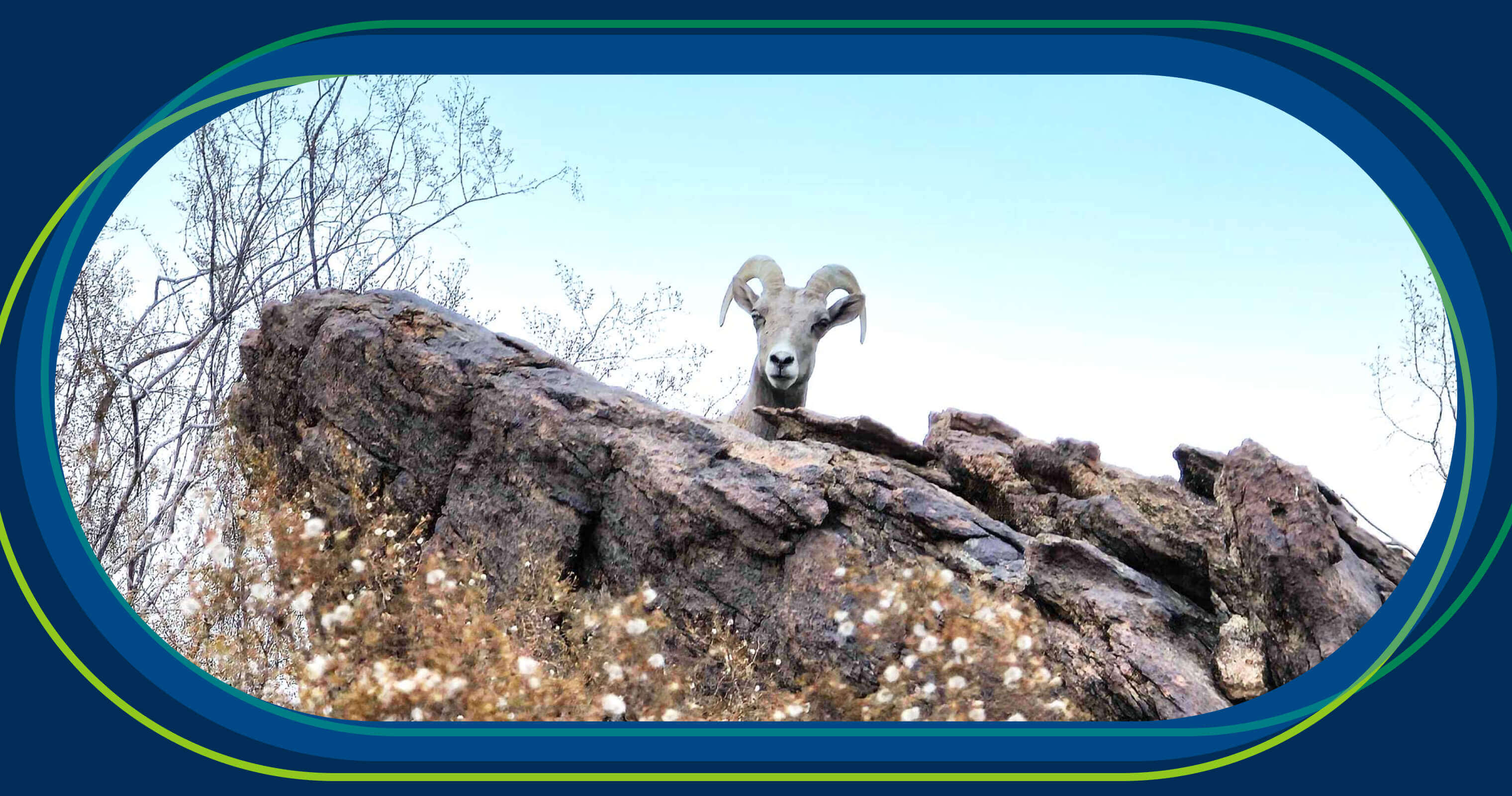 Be more strategic every day with 'little s' strategy