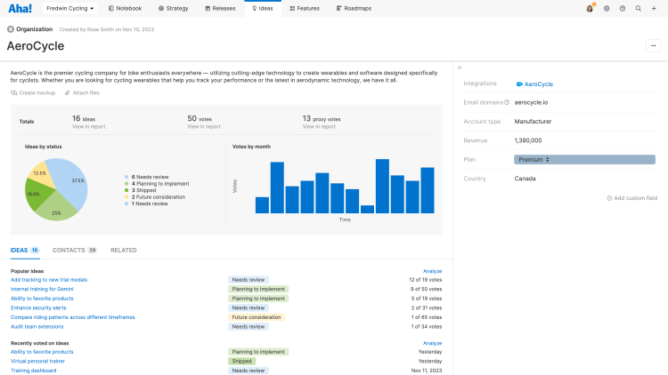 An image of organization details in Aha! idea management software to prioritize based on business value