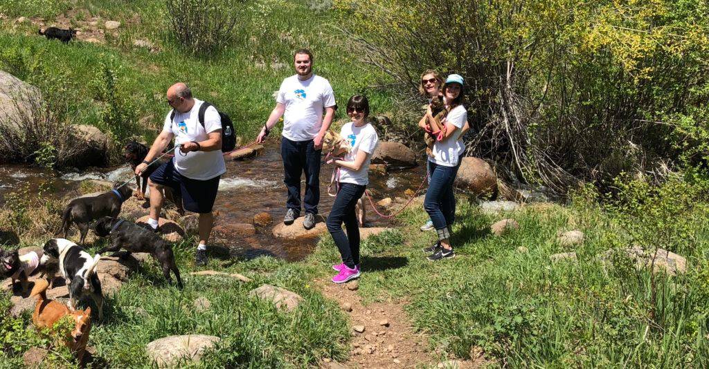 Blog - Aha! Cares: 5 Ways Our Remote Team Volunteers Together - inline image