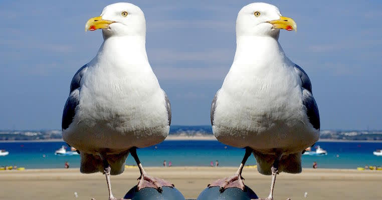 Product Managers and Project Managers Have This in Common
