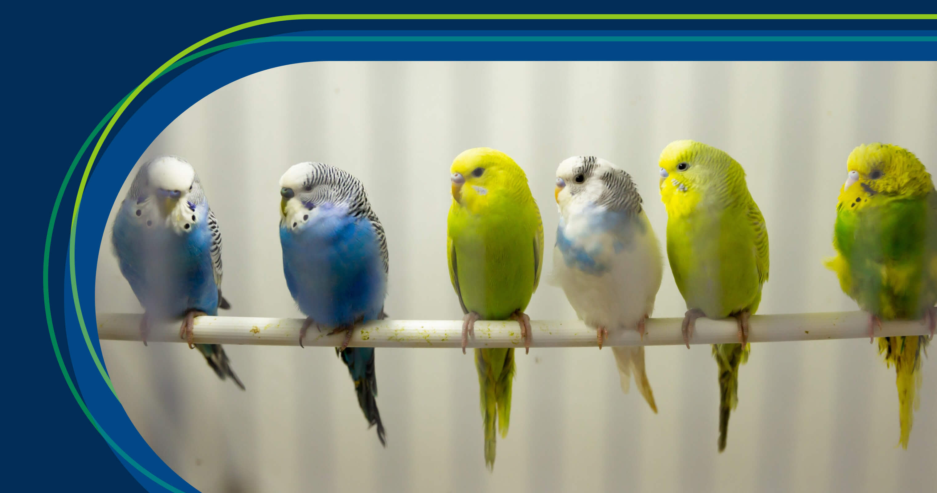 How business stakeholders should collaborate with product managers