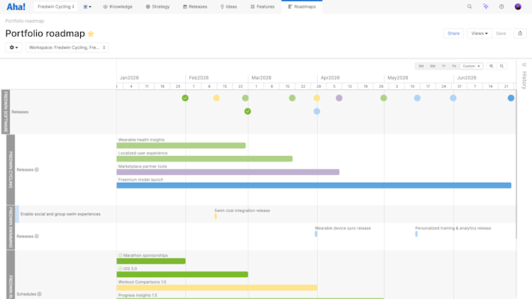 portfolio roadmap example