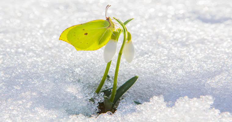 The 12 Most Important Blog Posts From Aha! This Year