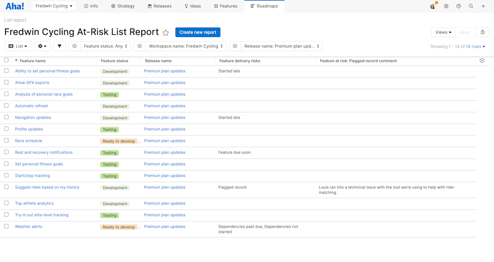 Automatically Track Delivery Risks in Aha! Software | Aha! software
