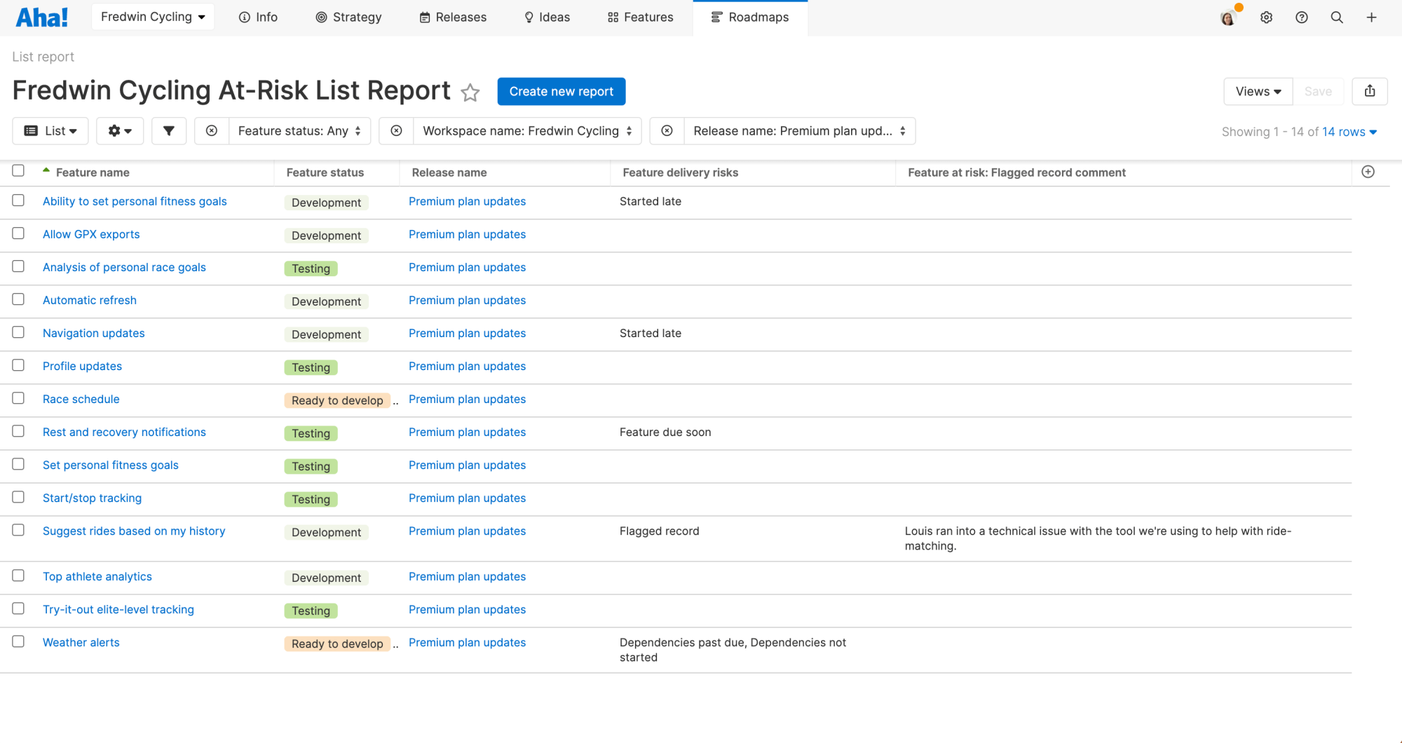 List report in Aha! Develop showing risk alerts.
