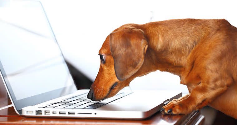 The 10 Best Blogs for Product Managers