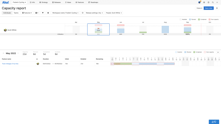 Capacity report showing a user with too much work assigned to them