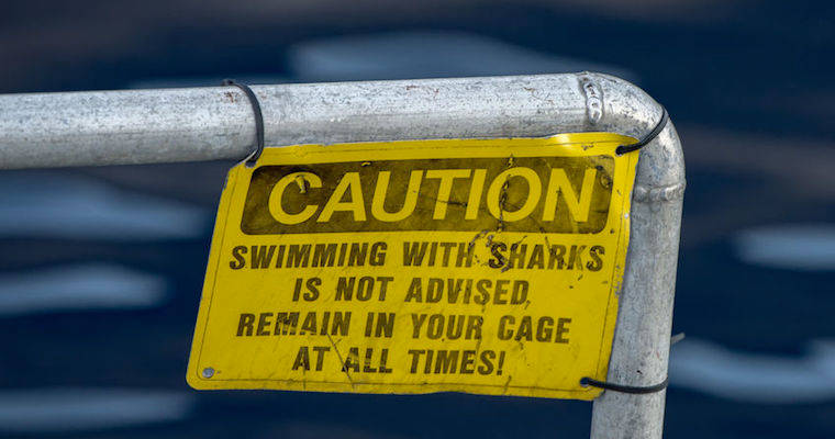 Is Your Office Infested With Sharks?