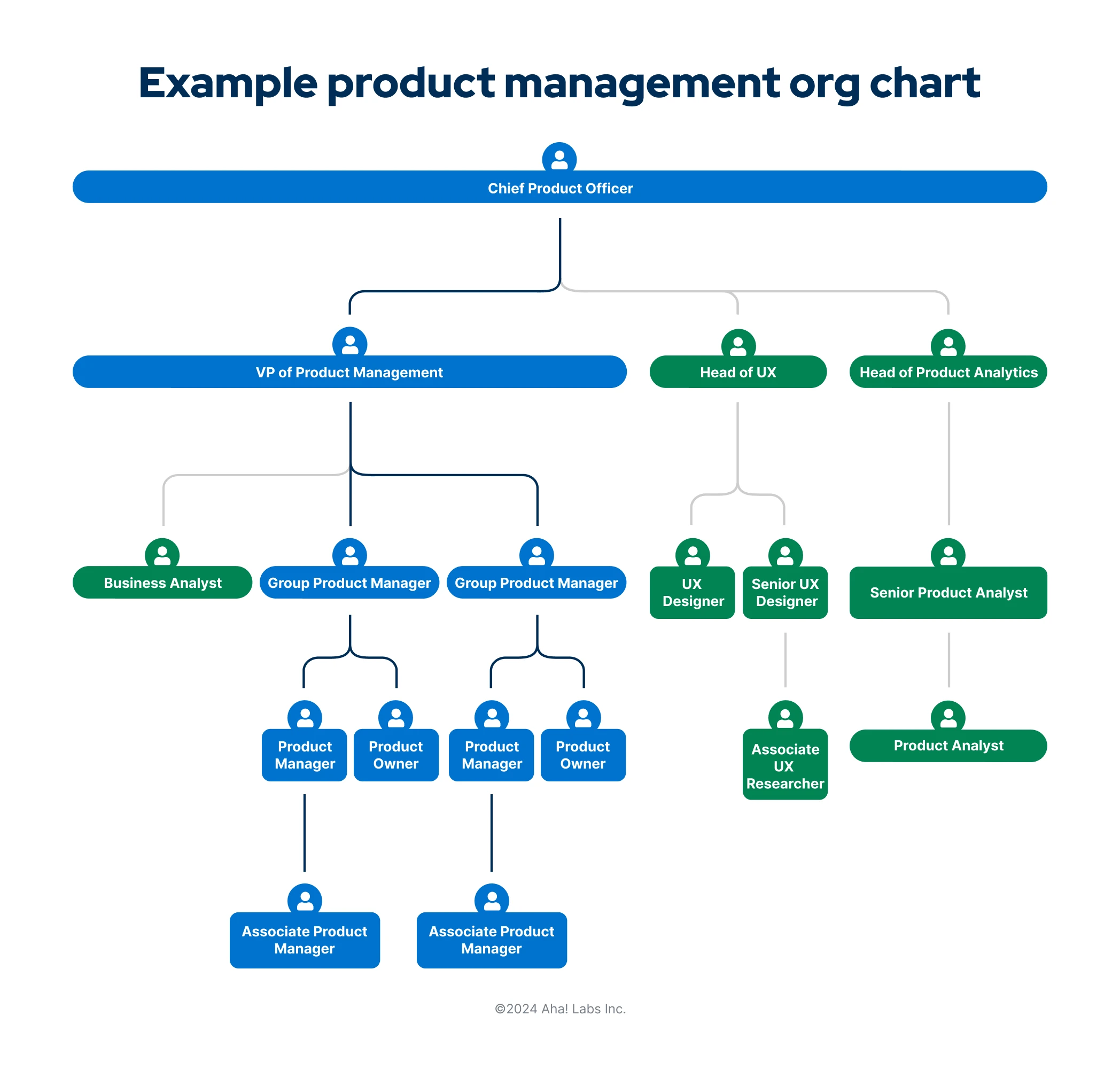 Example roles within product management