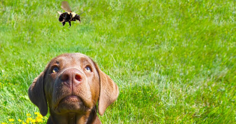 Stop Saying These 15 Business Buzzwords (Please)