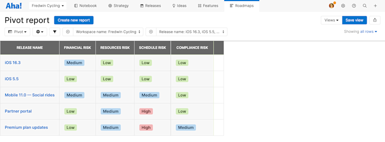 Pivot table for tracking risks